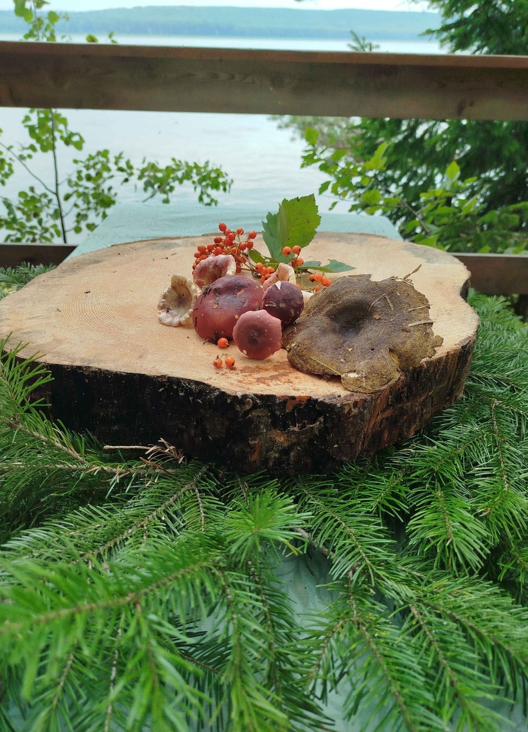 Рыболовная заимка ТУНГУС, домик в глухой тайге